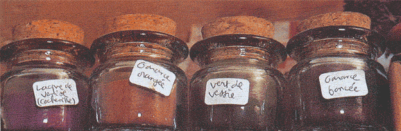 http://www.garance.free.fr/Botanique/Grands_pots.gif